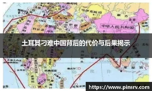 土耳其刁难中国背后的代价与后果揭示