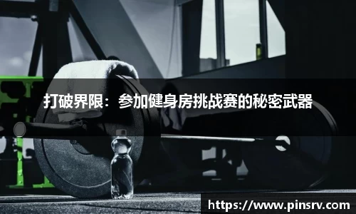 乐球直播在线观看免费观看